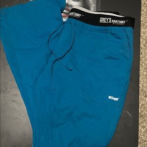 Grey's Anatomy Teal Scrub Pants
